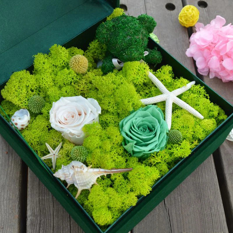 Artificial Moss Grass 20/40g – DIY Crafts & Home Décor Artificial Moss Decor Babs