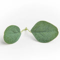 50/100Pcs Silk Eucalyptus Rose Leaves UV-Protected Artificial Decor Artificial Decorative Leaves Babs green 100PCS