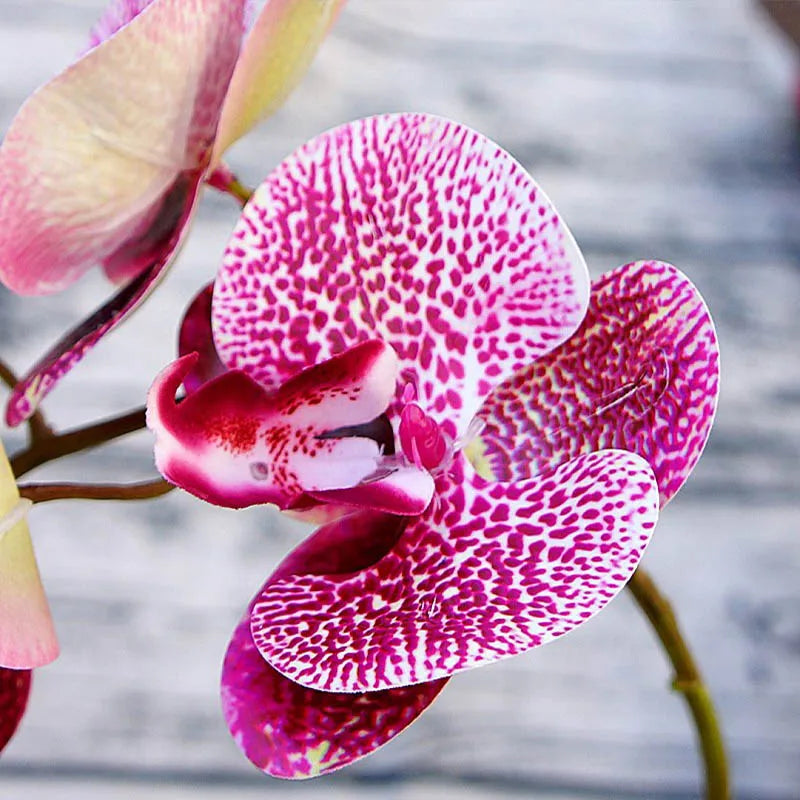 Artificial Butterfly Orchid Bundle 6 Heads – Home & Wedding Decor Artificial Flower Bundle Babs
