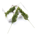 5Pcs Artificial Pine Branches – Christmas & Wedding Décor Artificial Pine Branches Babs 1