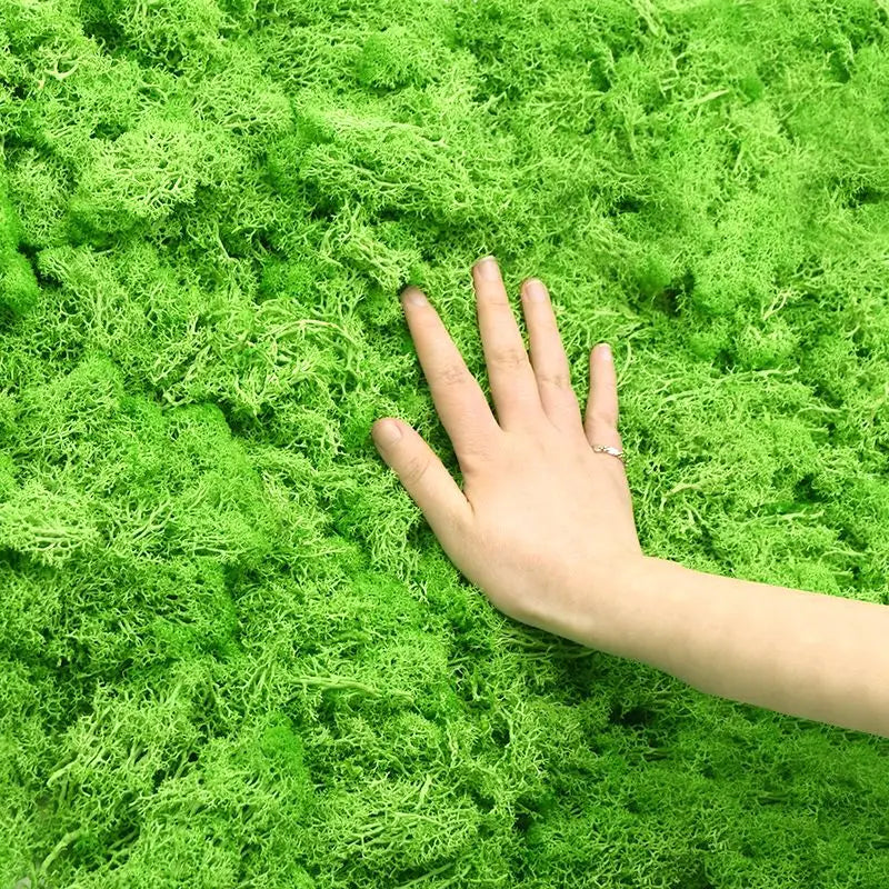 Artificial Moss Grass 20/40g – DIY Crafts & Home Décor Artificial Moss Decor Babs