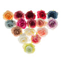 10Pcs Silk Rose Heads – Wedding, Home & DIY Craft Décor
