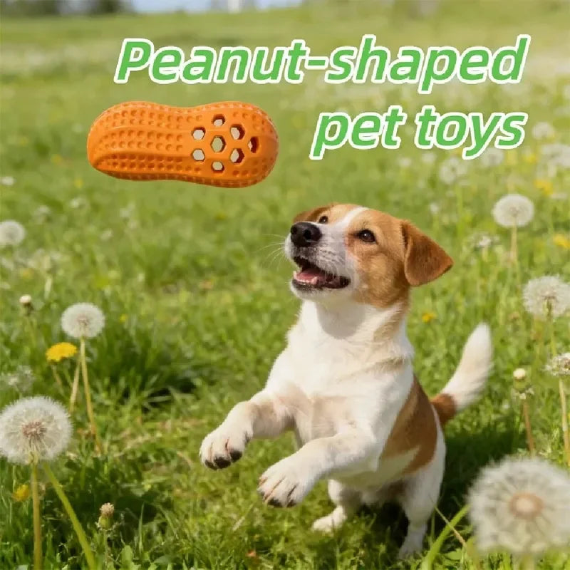 TPR Peanut Dog Chew Toy – Squeaky & Bite-Resistant Dog Chew Toy Babs