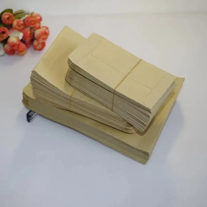 100Pcs Kraft Paper Seed Bags 6x10cm Eco Envelope Pouches Seed Storage Bags Babs
