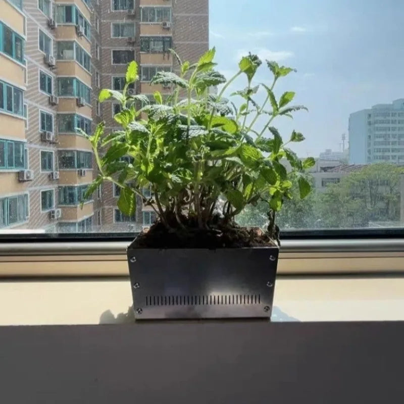 Stainless Steel Flower Pot | Minimalist Luxury Succulent Planter Decorative Plant Pot Babs