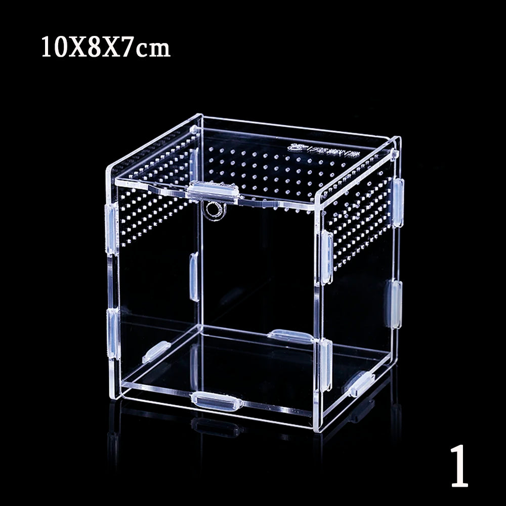 Acrylic Reptile Breeding Box – Snake, Lizard & Insect Terrarium Reptile Breeding Box Babs 10X8X7cm