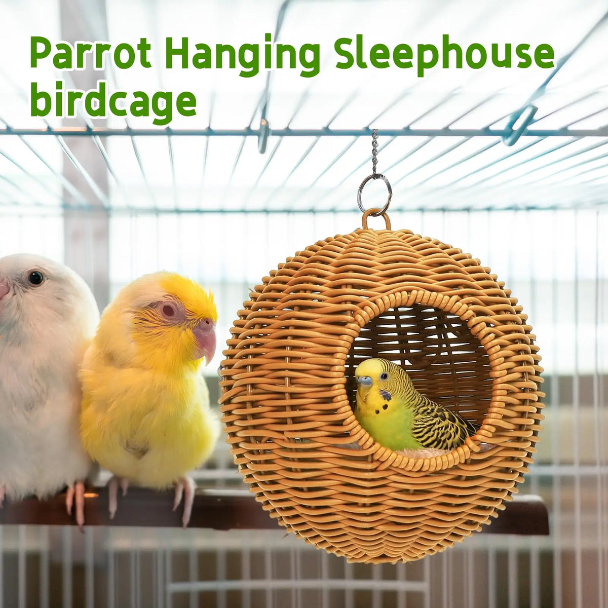 Spherical Hanging Parrot Nest – Bird Sleeping & Breeding House Bird Nesting House Babs