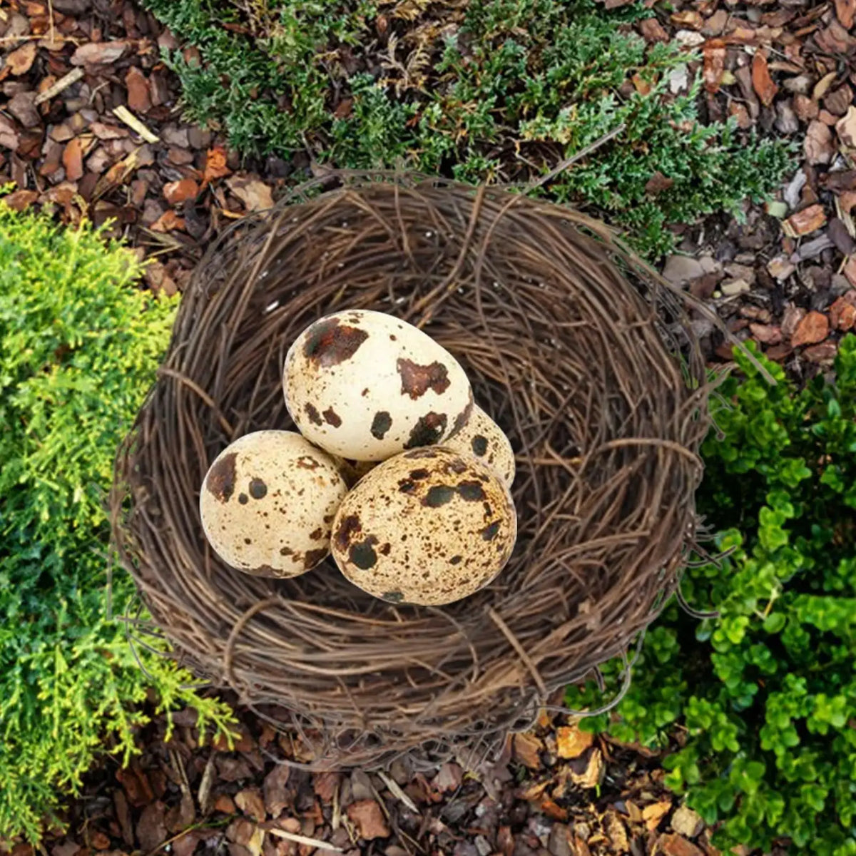 Handmade Rattan Bird Nest – Easter Decor & Pet Home Decorative Bird Nest Babs