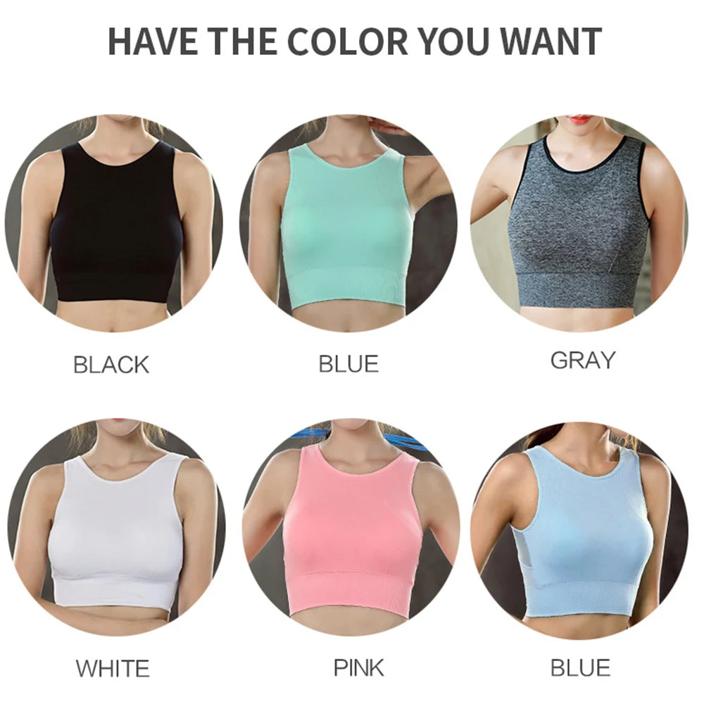 Women's Seamless Push Up Sports Bra – Yoga & Gym Bralette Women's Sports Bra Babs