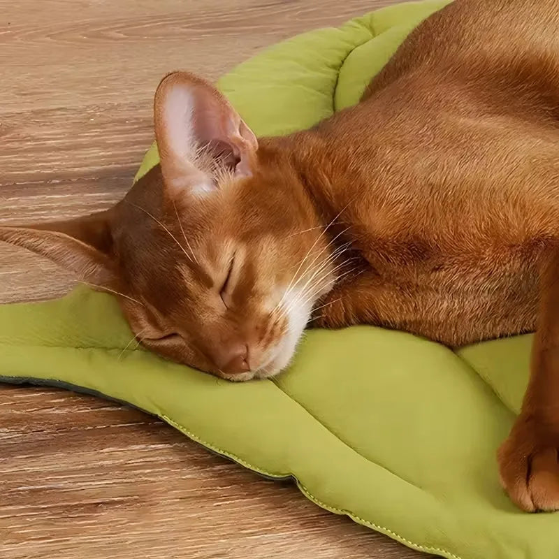 Leaf-Shaped Pet Bed Mat – Soft, Washable & Non-Slip for Cats & Dogs Pet Bed Mat Babs