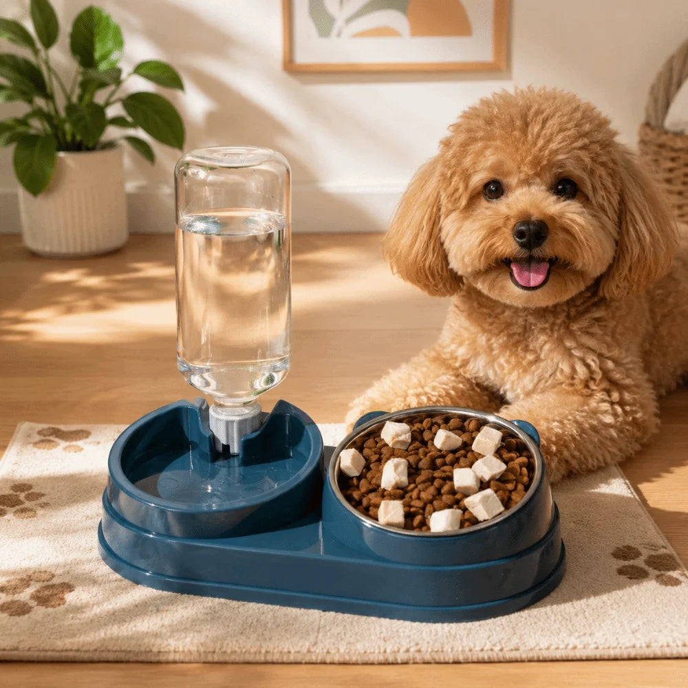 2-in-1 Tilted Dog & Cat Bowl – Stainless Steel Dry/Wet Feeder Pet Feeding Bowl Babs