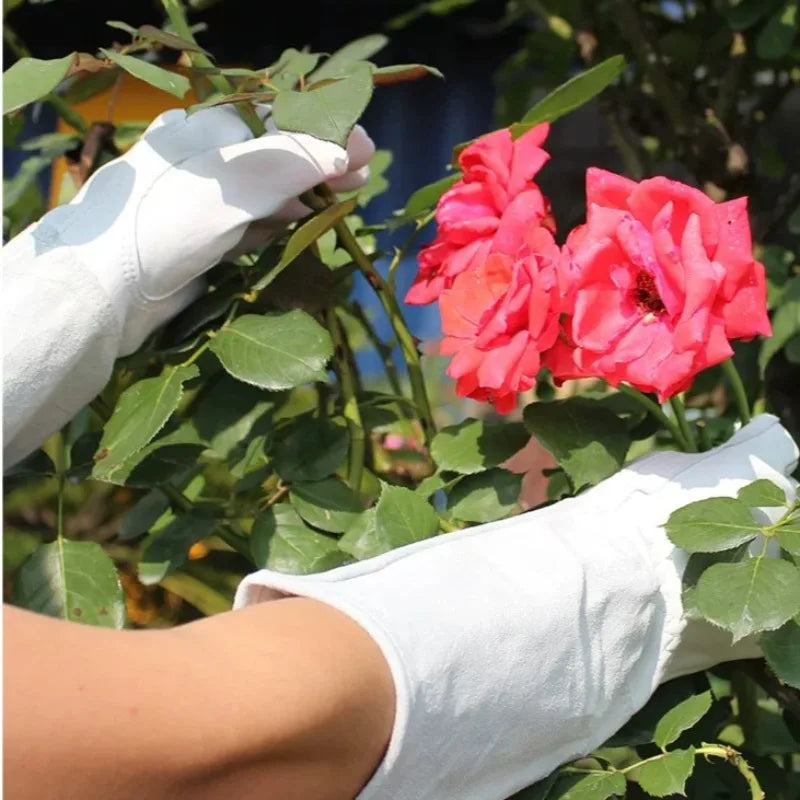 Thorn Proof Leather Gardening Gloves – Waterproof, Elbow Length Gardening Gloves Babs