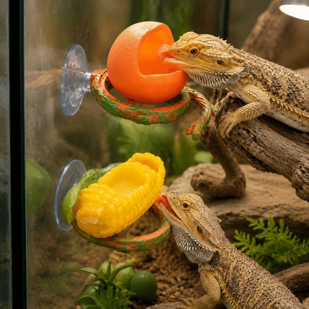 Resin Lizard Feeder Bowl with Suction Cup | Reptile Dish Reptile Feeding Bowl Babs