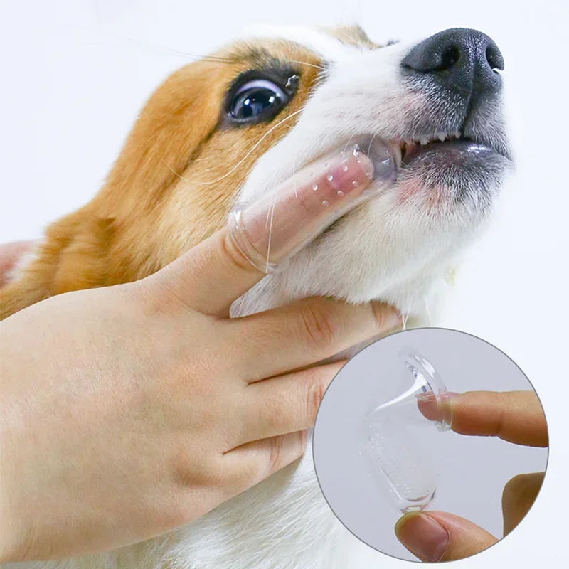 BPA-Free Silicone Pet Finger Toothbrush for Dogs & Cats Pet Finger Toothbrush Babs