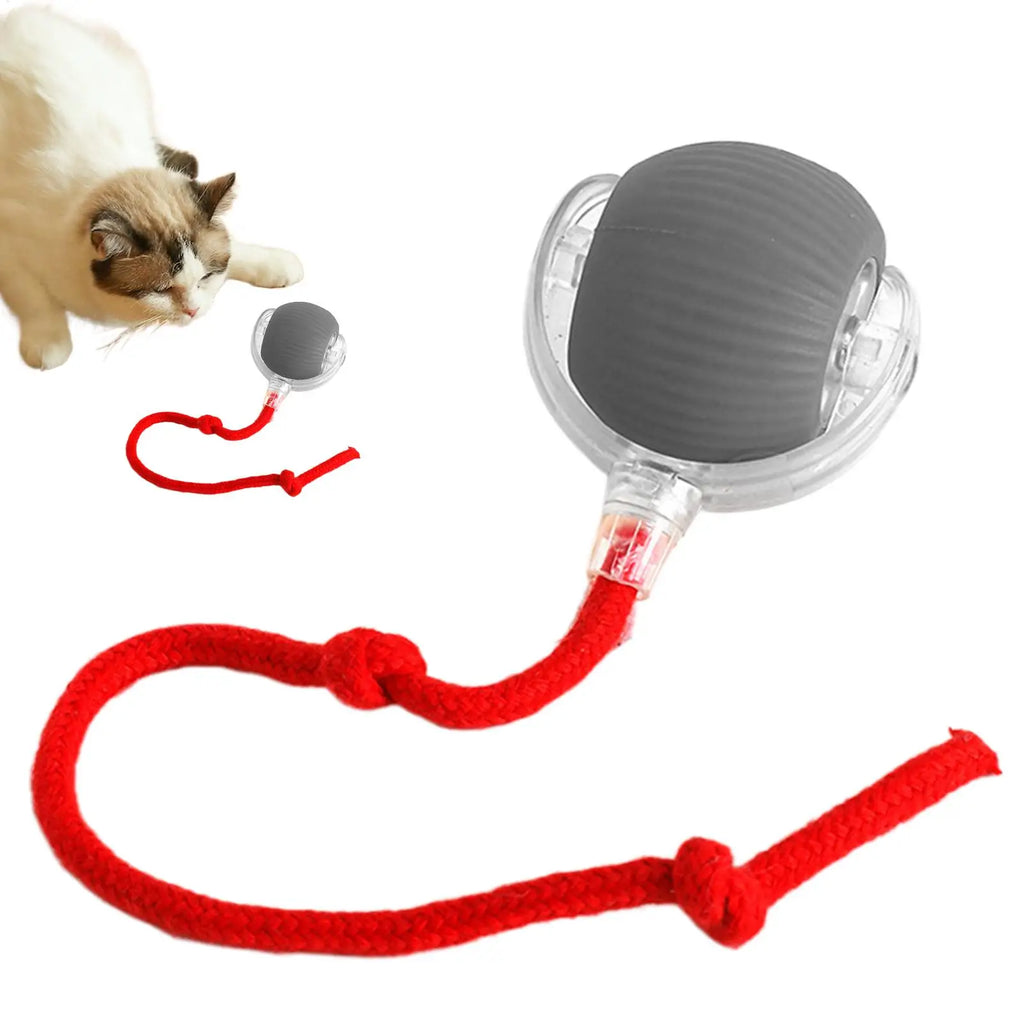 Automatic Rolling Interactive Cat Ball Toy – Rechargeable Interactive Cat Toy Babs