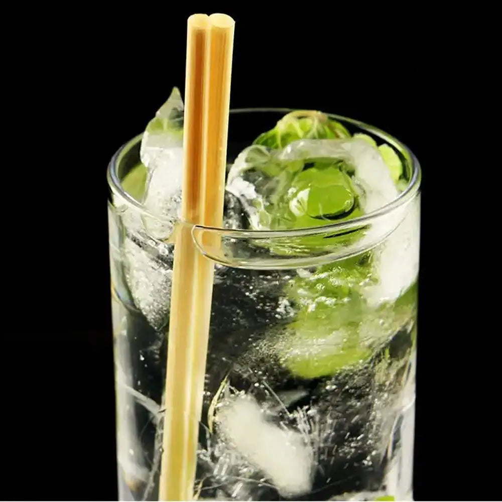 100Pcs Natural Wheat Drinking Straws – Eco-Friendly Biodegradable Eco Drinking Straws Babs