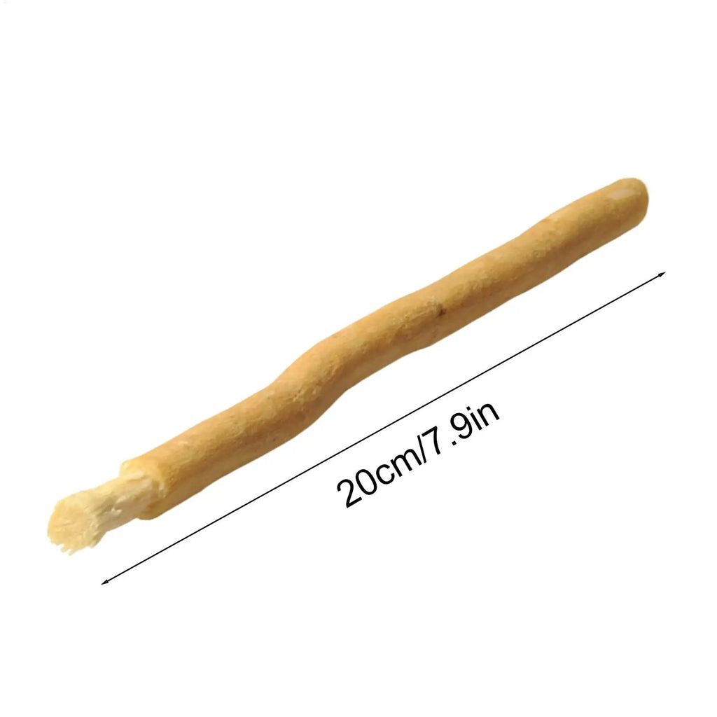 Natural Miswak Teeth Cleaning Sticks – Eco Travel Toothbrush Natural Toothbrush Stick Babs