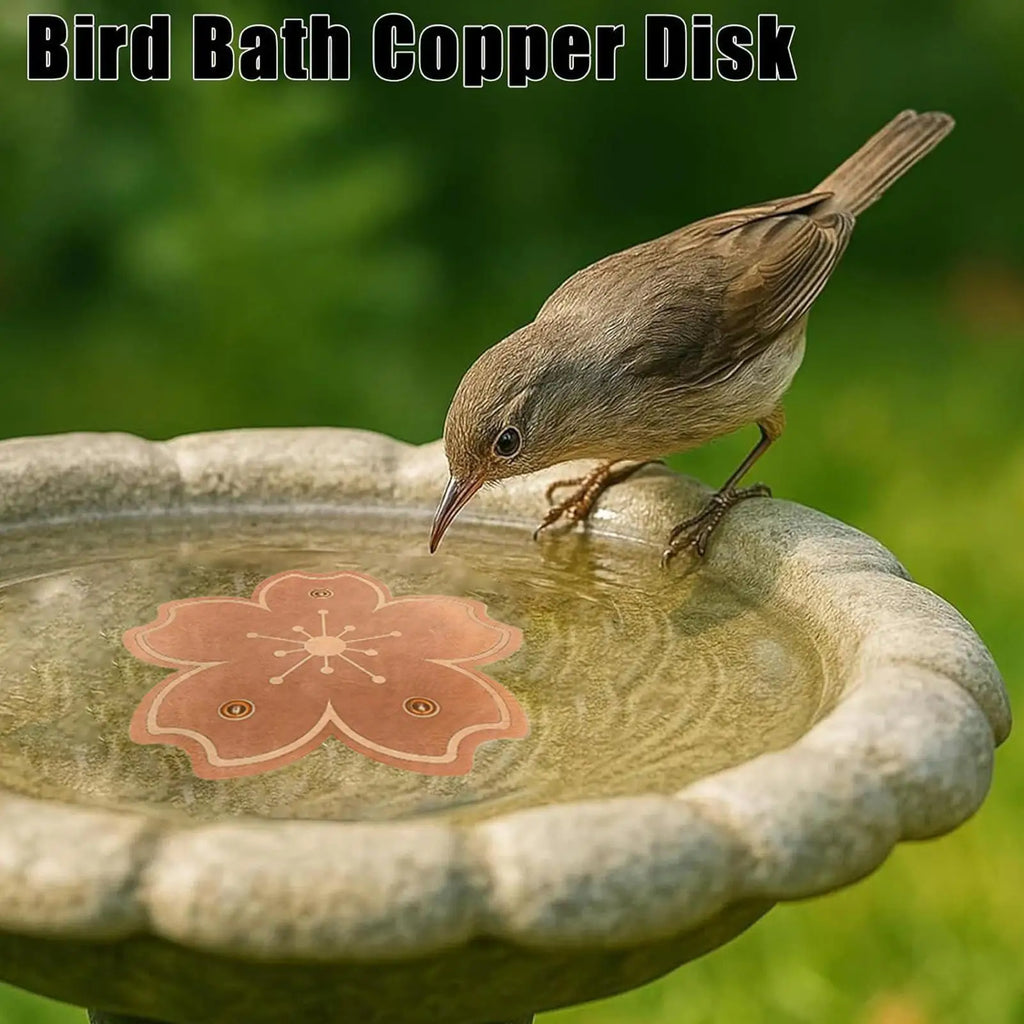 Copper Bird Bath Purification Disk – 3-Point Support Plate Bird Bath Disk Babs