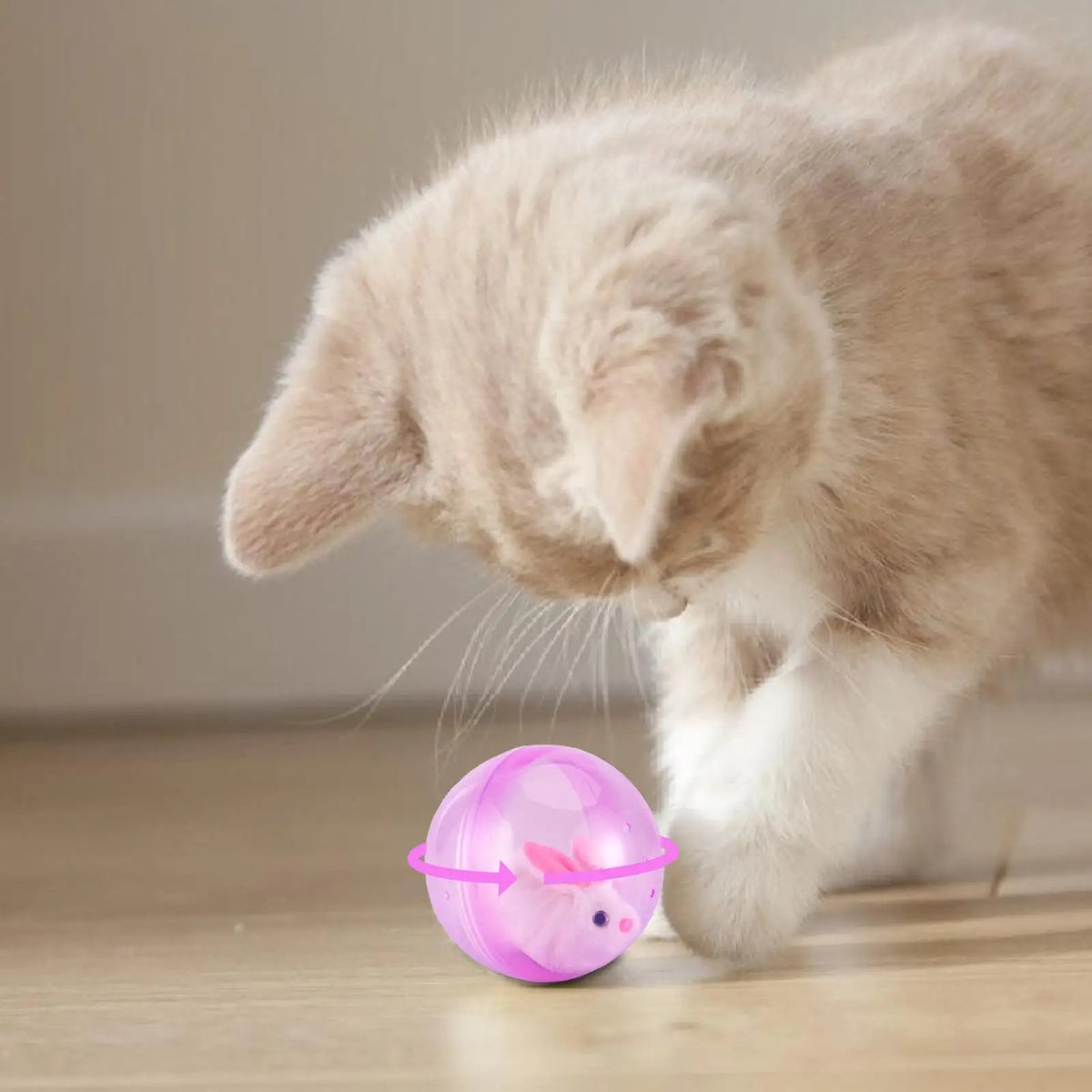 Electric Rolling Ball Pet Toy – 360° Interactive Transparent Ball Interactive Pet Toy Babs
