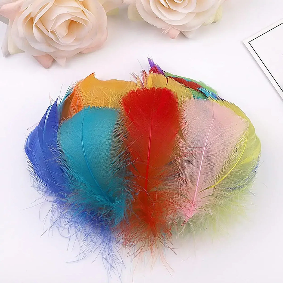 Natural Craft Feathers 7–15cm | Dream Catchers, DIY & Weddings Craft Feathers Babs