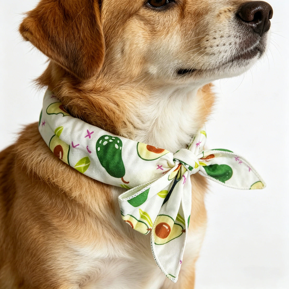 Pet Cooling Ice Collar Bandana for Cats & Dogs | Summer Pet Cooling Collar Babs Avocado 3PCS