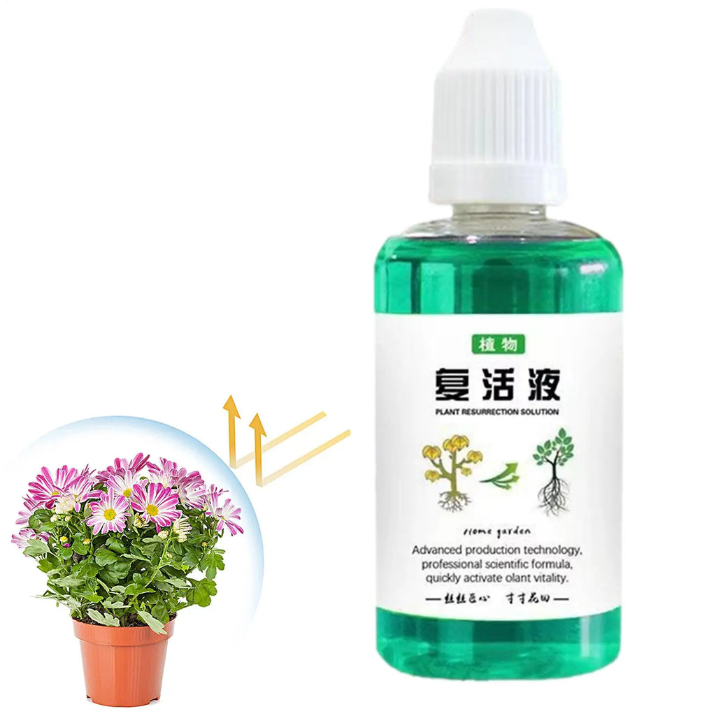 50ml Plant Nutrient Liquid – Root Booster & Growth Fertilizer Liquid Plant Fertilizer Babs