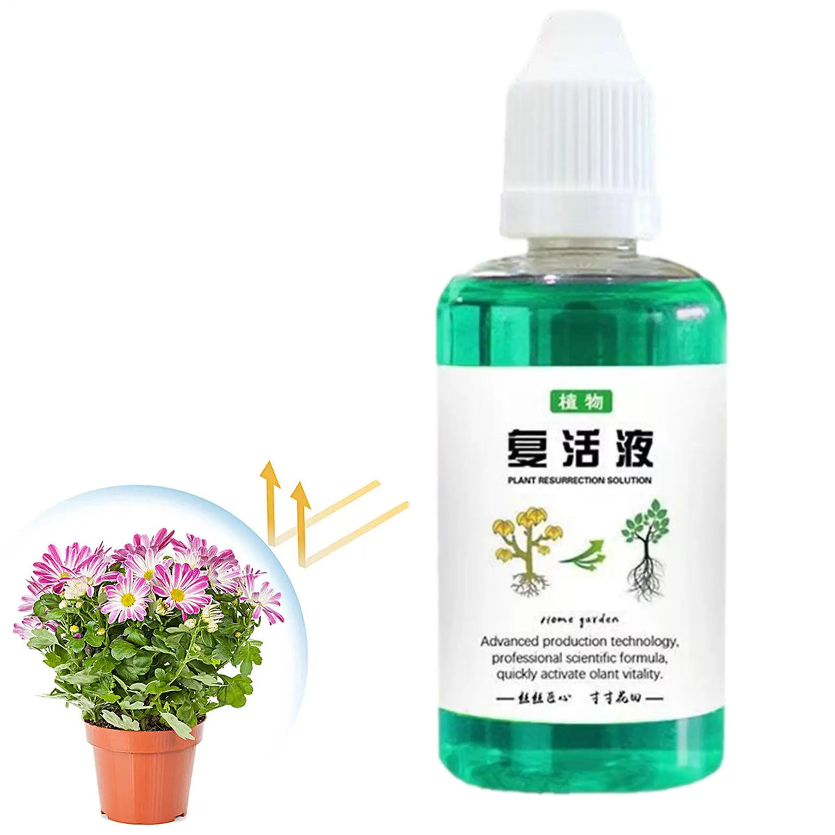 50ml Plant Nutrient Liquid – Root Booster & Growth Fertilizer Liquid Plant Fertilizer Babs