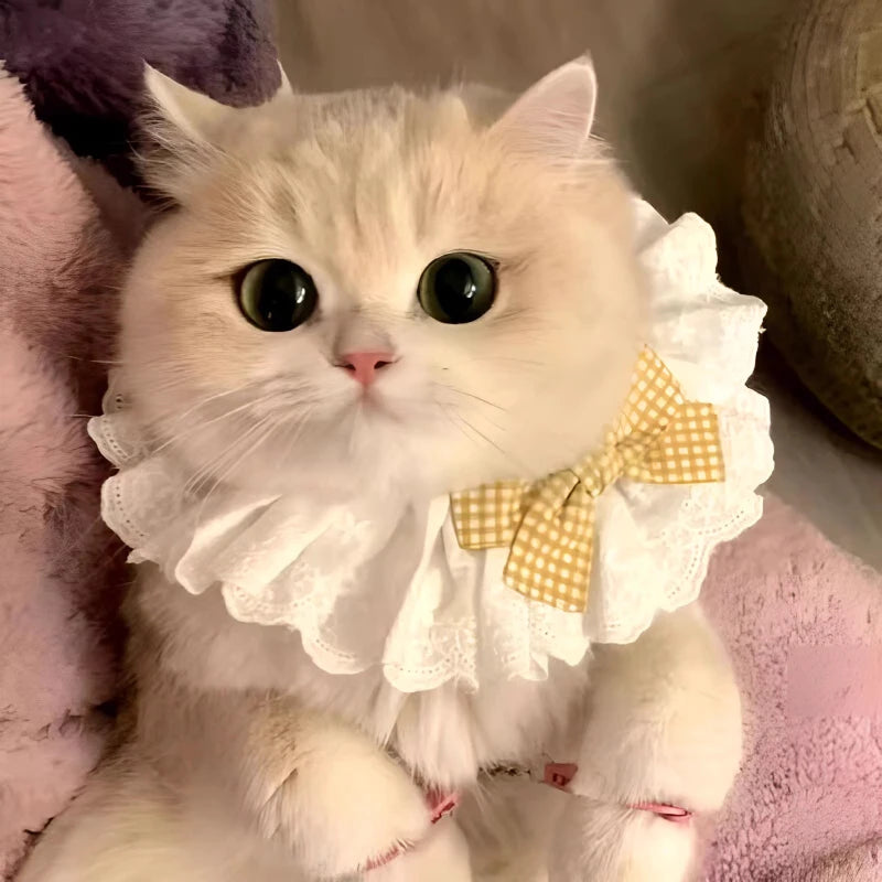 Cute Cat & Dog Bow Scarf – Soft Crochet Pet Neck Accessory Pet Bow Scarf Babs