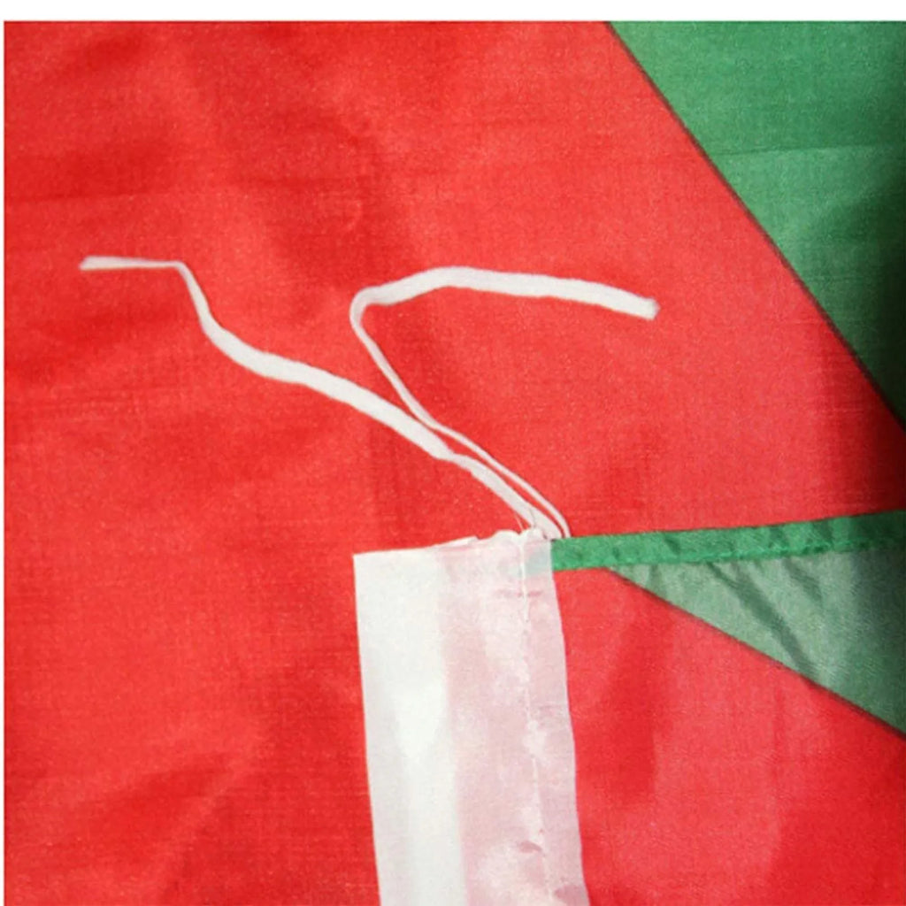 Palestine Flag 90x150cm | Polyester Palestinian Banner Decorative Flag Babs