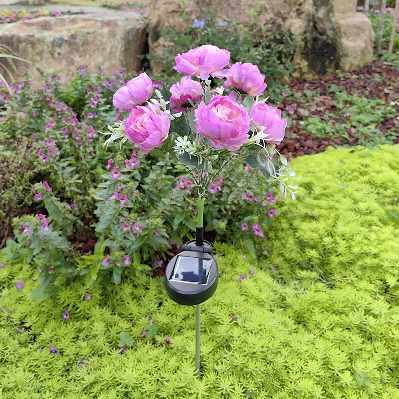 Solar 7-Head Peony Flower Lamp – Outdoor Garden Décor Light Solar Garden Stake Light Babs Purple 1PC