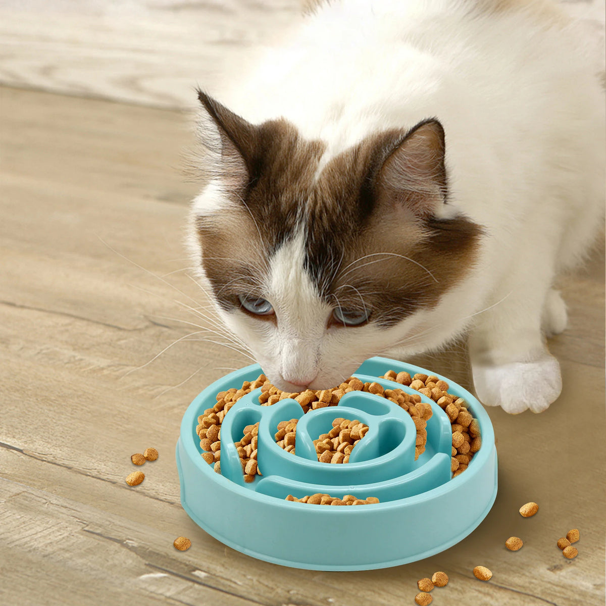 Pet Slow Feeder Bowl – Non-Slip Maze Dish for Dogs & Cats Slow Feeder Bowl Babs