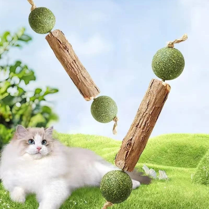 Catnip Silvervine Chew Stick – Interactive Cat Lollipop Toy Cat Chew Toy Babs