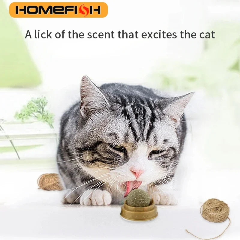 Natural Catnip Wall Stick-On Ball Toy & Scratcher for Cats Cat Catnip Toy Babs
