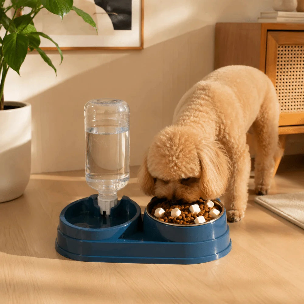 2-in-1 Tilted Dog & Cat Bowl – Stainless Steel Dry/Wet Feeder Pet Feeding Bowl Babs