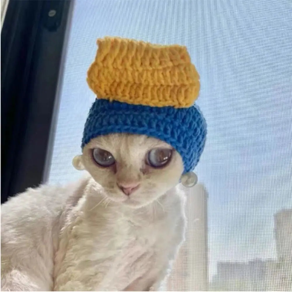 Crochet Frog Hat for Cats & Dogs – Cute Pet Party Photo Prop Pet Costume Hat Babs M-pearl earrings