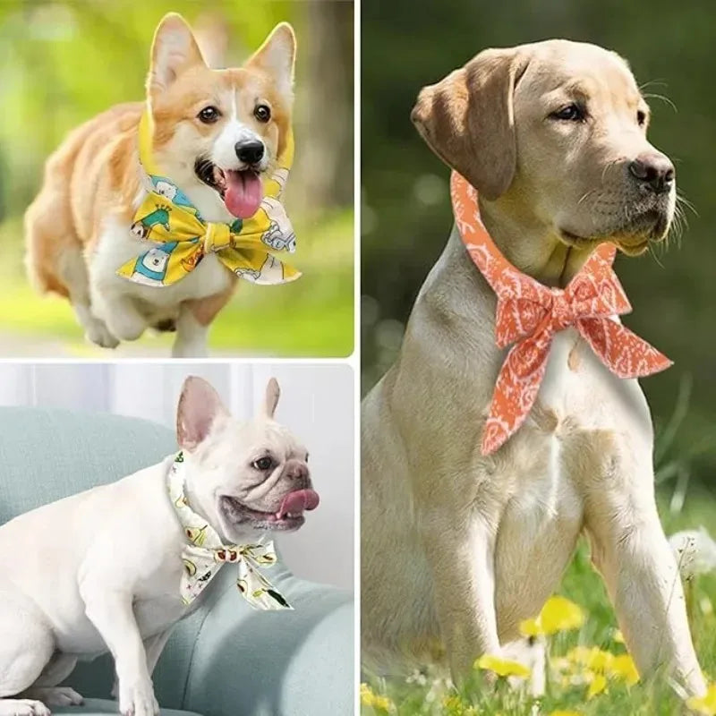 Pet Cooling Bandana for Dogs & Cats – Ice Bead Scarf 2-Pack Pet Cooling Bandana Babs