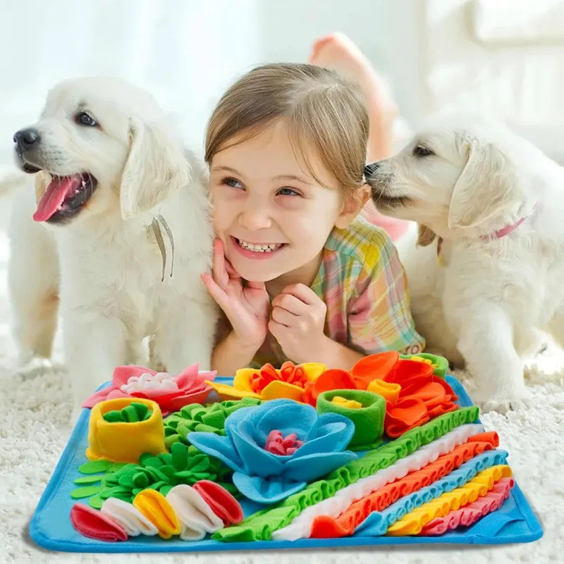 Slow Feeding Sniff Mat for Dogs & Cats – Interactive Pet Toy Pet Slow Feeder Mat Babs