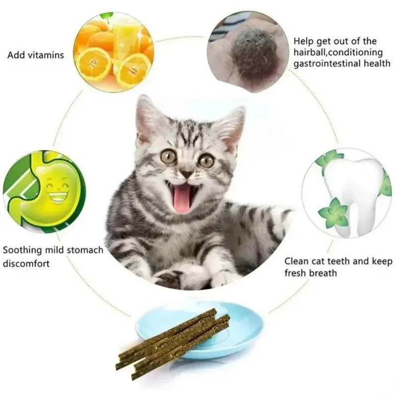 6-Pack Matatabi Silvervine Cat Chew Sticks – Teeth Cleaning Toy Cat Chew Toy Babs