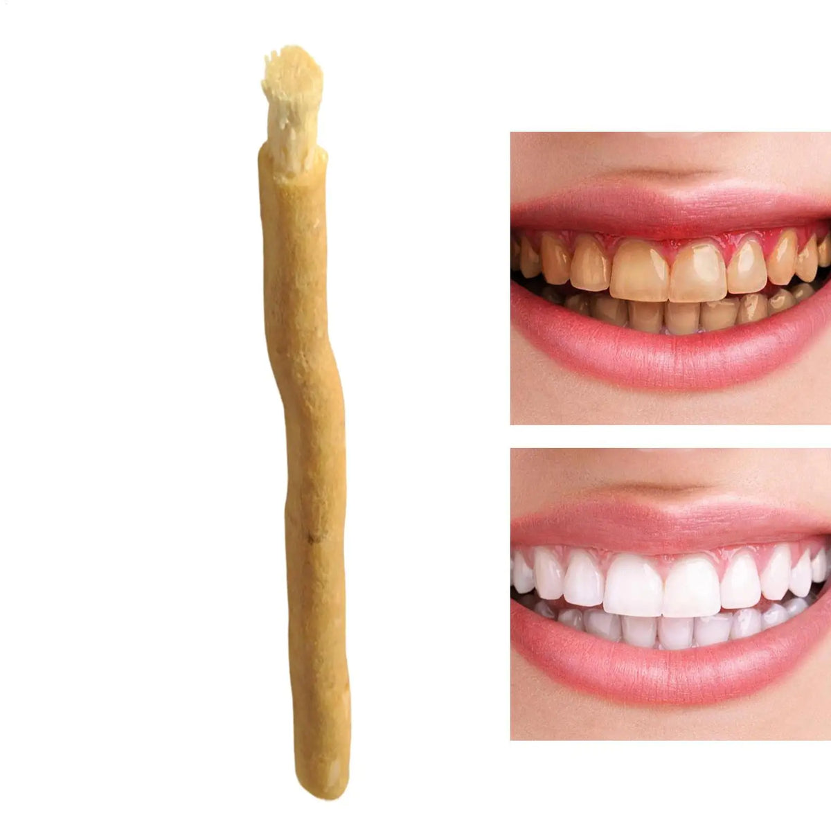 Natural Miswak Teeth Cleaning Sticks – Eco Travel Toothbrush Natural Toothbrush Stick Babs