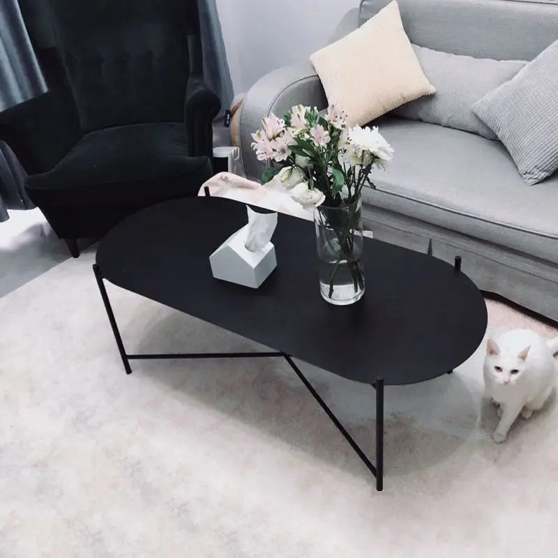 Modern Metal Oval Coffee Table – Nordic Sofa Side Table Metal Coffee Table Babs