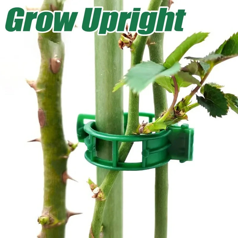 200Pcs Garden Plant Support Clips – Vine & Seedling Fixing Garden Plant Clips Babs