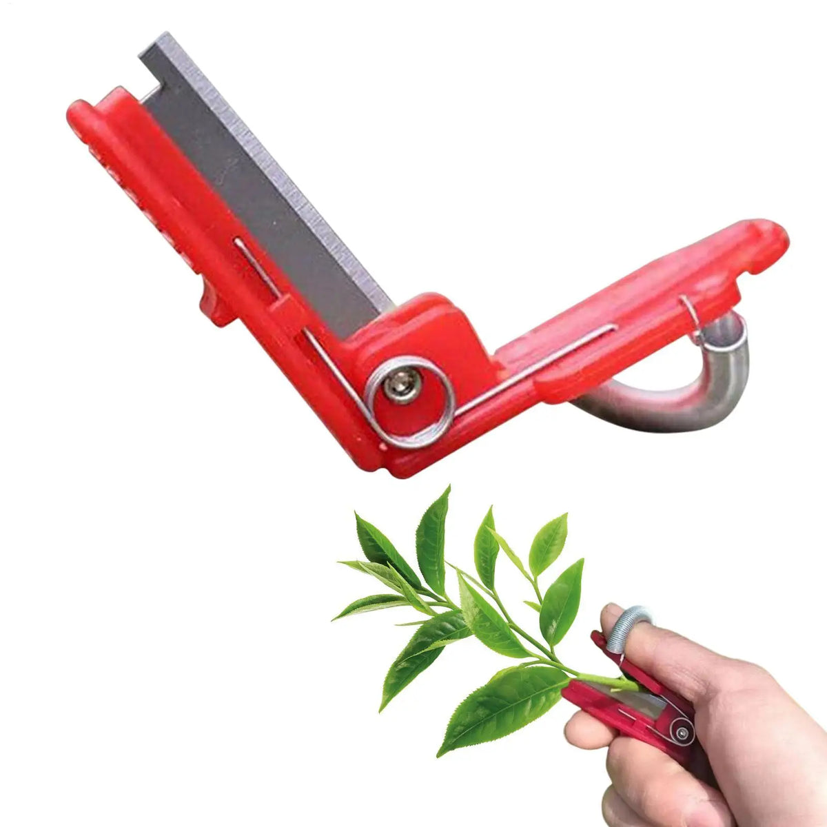 Thumb Knife Finger Cutter – Fruit & Vegetable Harvesting Tool Garden Harvesting Tool Babs