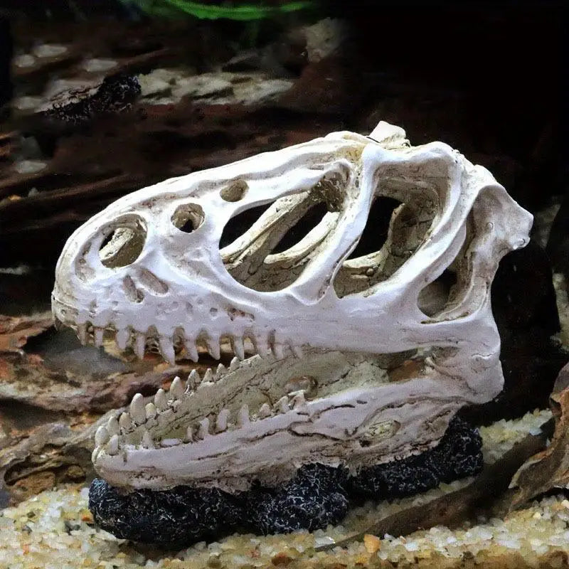 Resin Dinosaur Skull Aquarium & Reptile Habitat Decoration Aquarium Ornament Babs