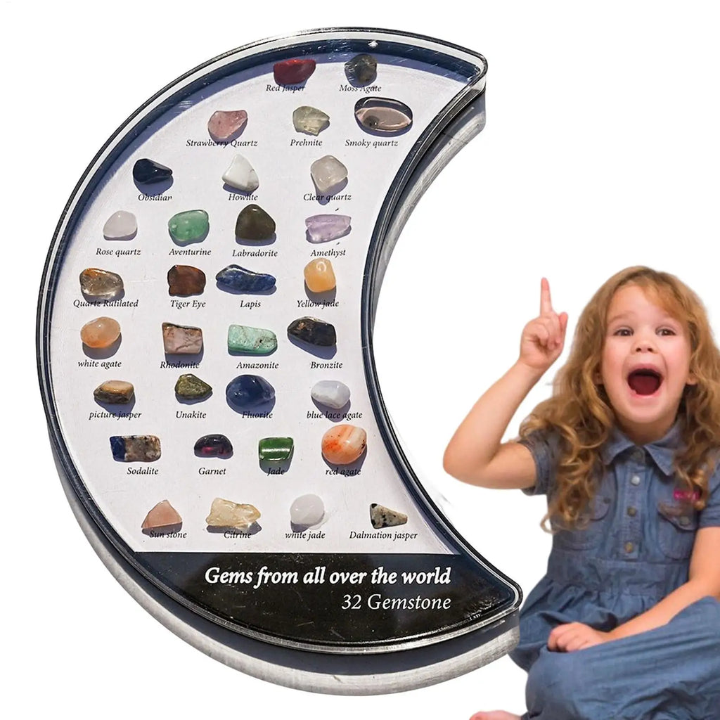 32-Piece Crystal Rock & Mineral Specimen Collection Display Box Crystal Specimen Set Babs