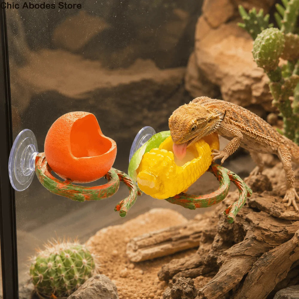 Resin Lizard Feeder Bowl with Suction Cup | Reptile Dish Reptile Feeding Bowl Babs