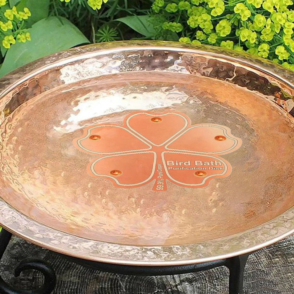 Copper Bird Bath Purification Disc – All-Season Backyard Bird Bath Purifier Babs