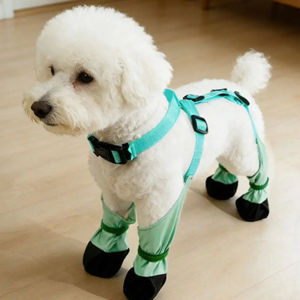 Waterproof Dog Rain Boots – Anti-Slip, Adjustable Paw Protector Dog Rain Boots Babs