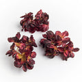 Artificial Silk Hydrangea Flowers 10/20 Pcs – Wedding & Home Artificial Silk Flowers Babs Color 3 10 pcs
