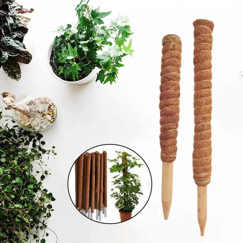 Coir Totem Pole Plant Support – 30/40/50cm Coconut Fiber Plant Support Stake Babs