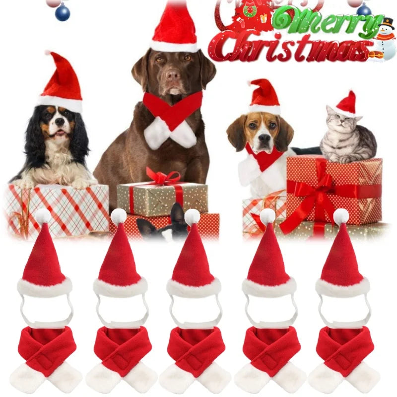 Cat Christmas Hat & Scarf Set – Holiday Pet Costume & Photo Prop Pet Holiday Costume Babs